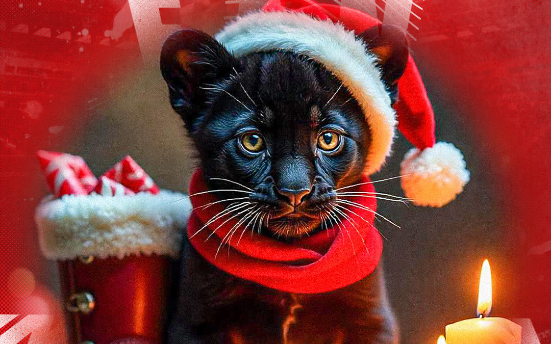 Schönen 3. Advent